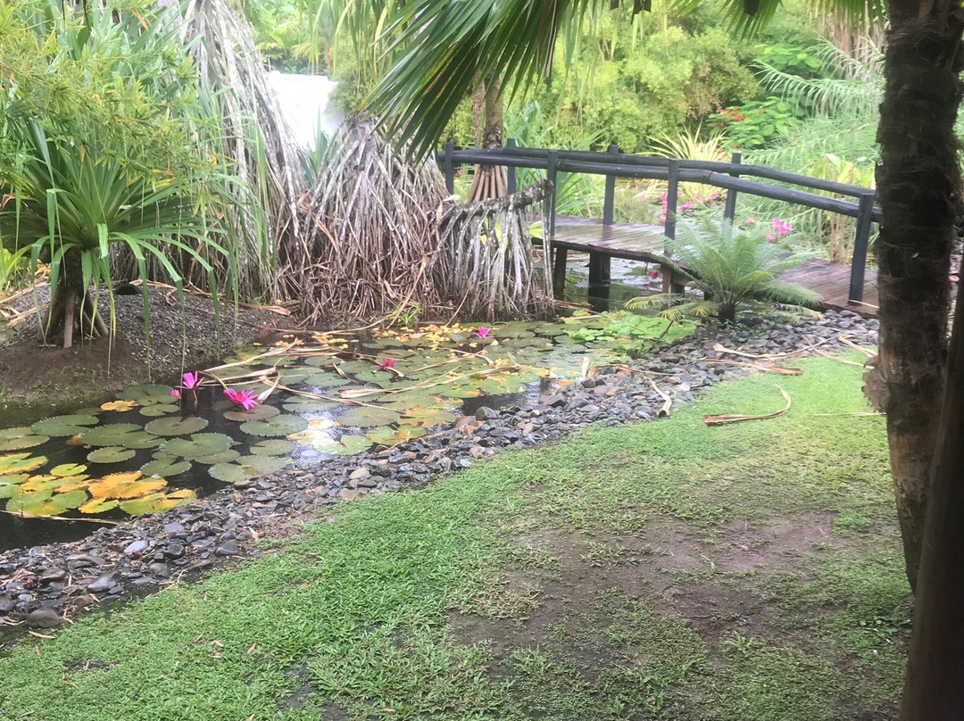 Heavenly Spa By Westin-丹娜努岛必去景点