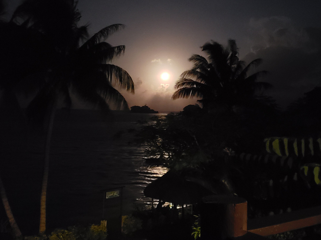 椰林海滨别墅主图