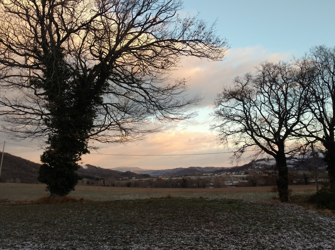 B&B Amici Country主图