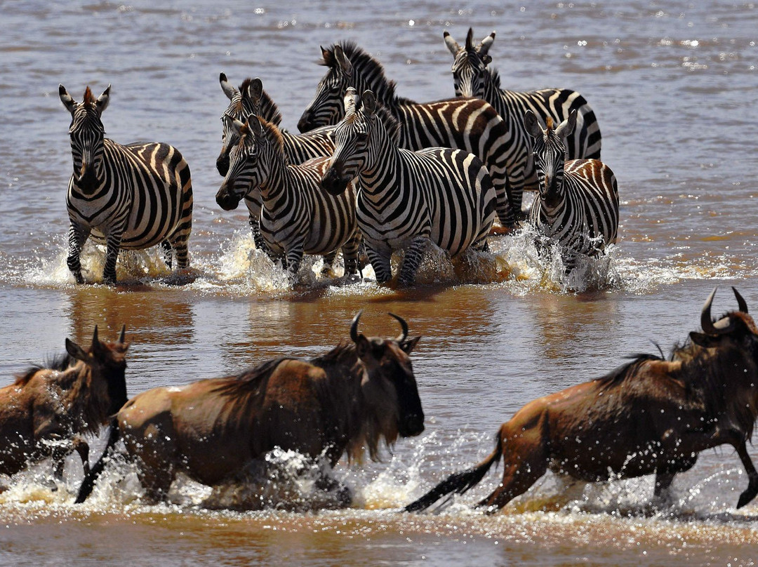 Unique Jungle Tours - Day Tours-阿鲁沙必去景点