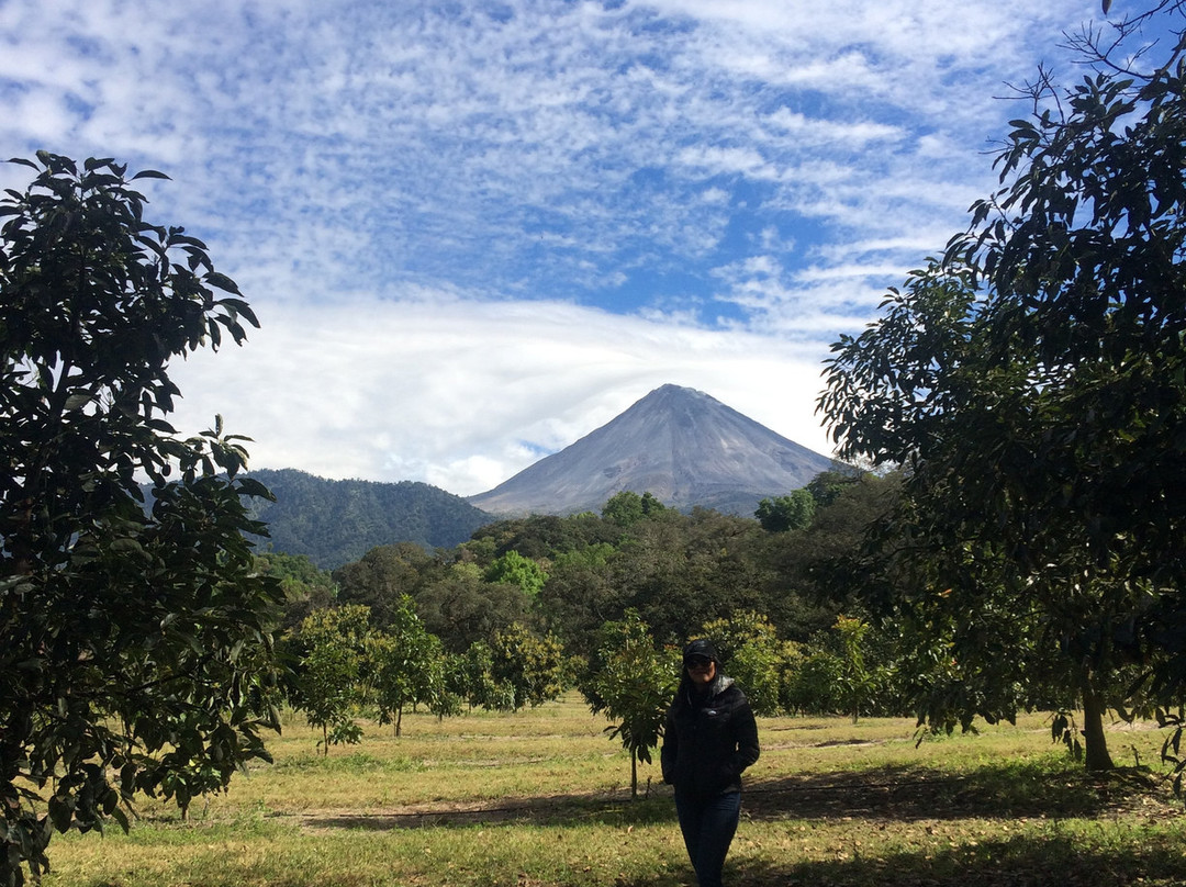 Meshico Magical Tours-Comala必去景点