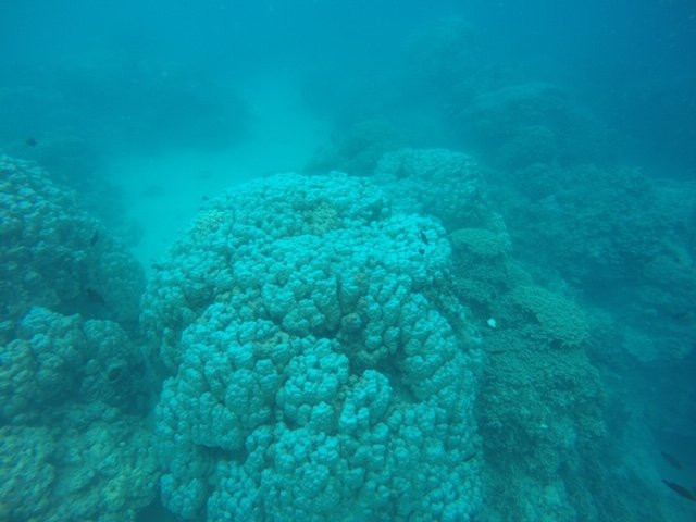 Bora Bora Service景点图片