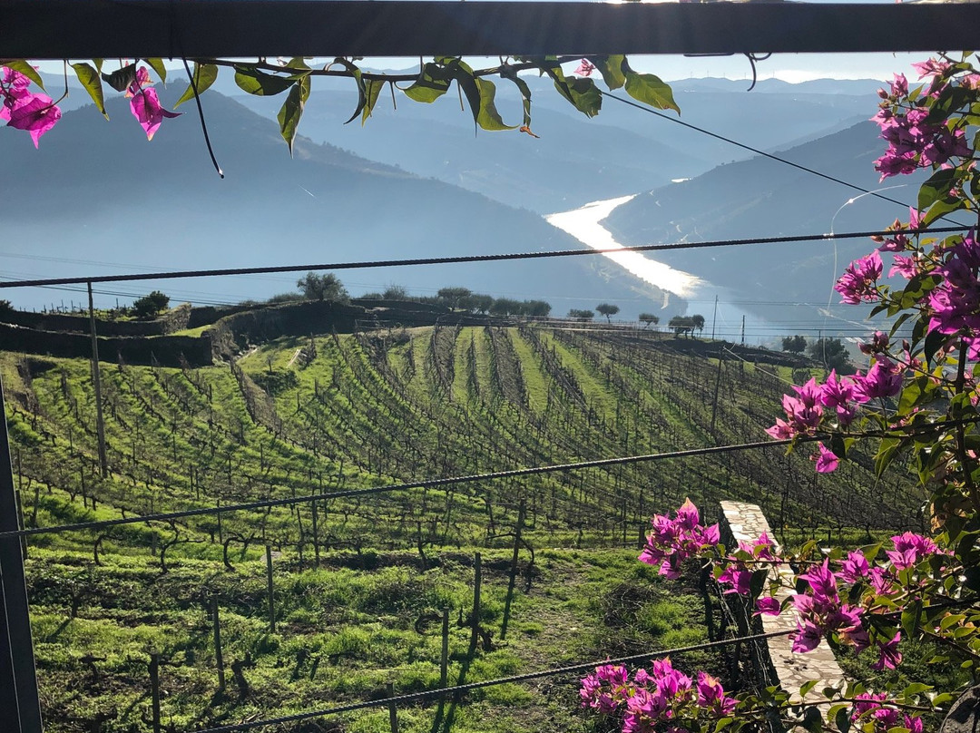 The Douro Valley景点图片