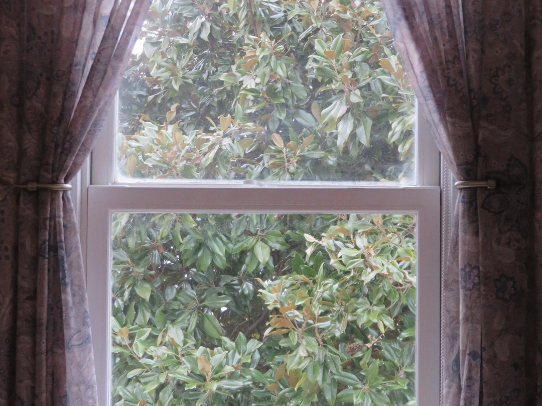 Solomons Victorian Inn主图