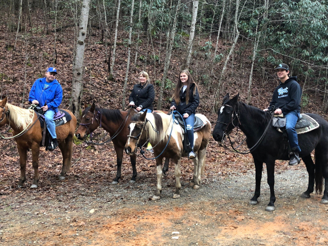 Saddle up trail rides景点图片