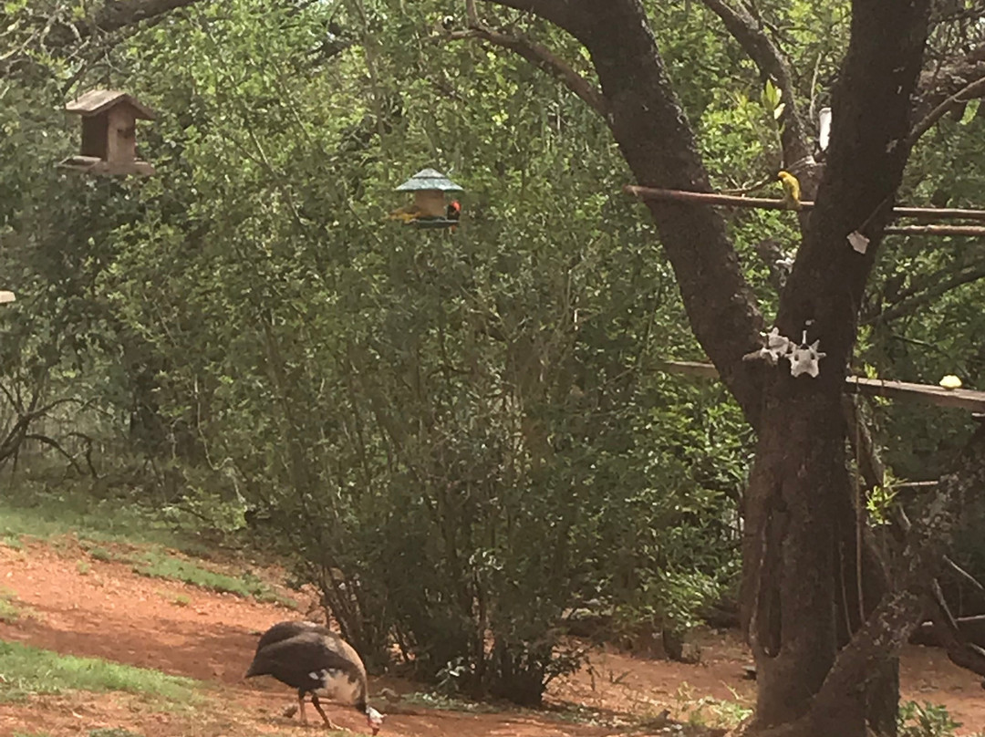 Meerkatplaats Guesthouse and B&B主图