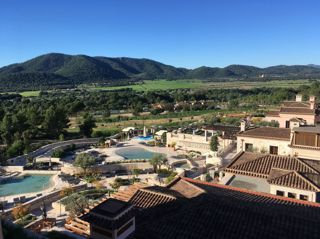 马洛卡柏悦酒店主图