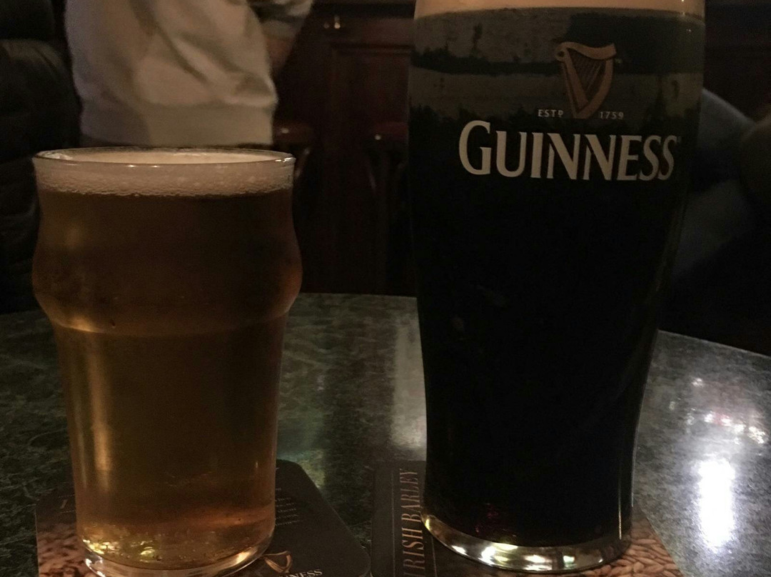 Irish Pub Celtic Druid-博洛尼亚必去景点