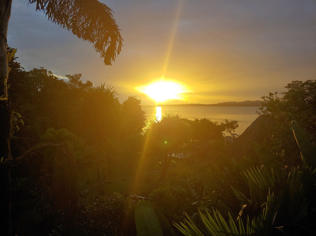 Dolphin Bay Hideaway主图