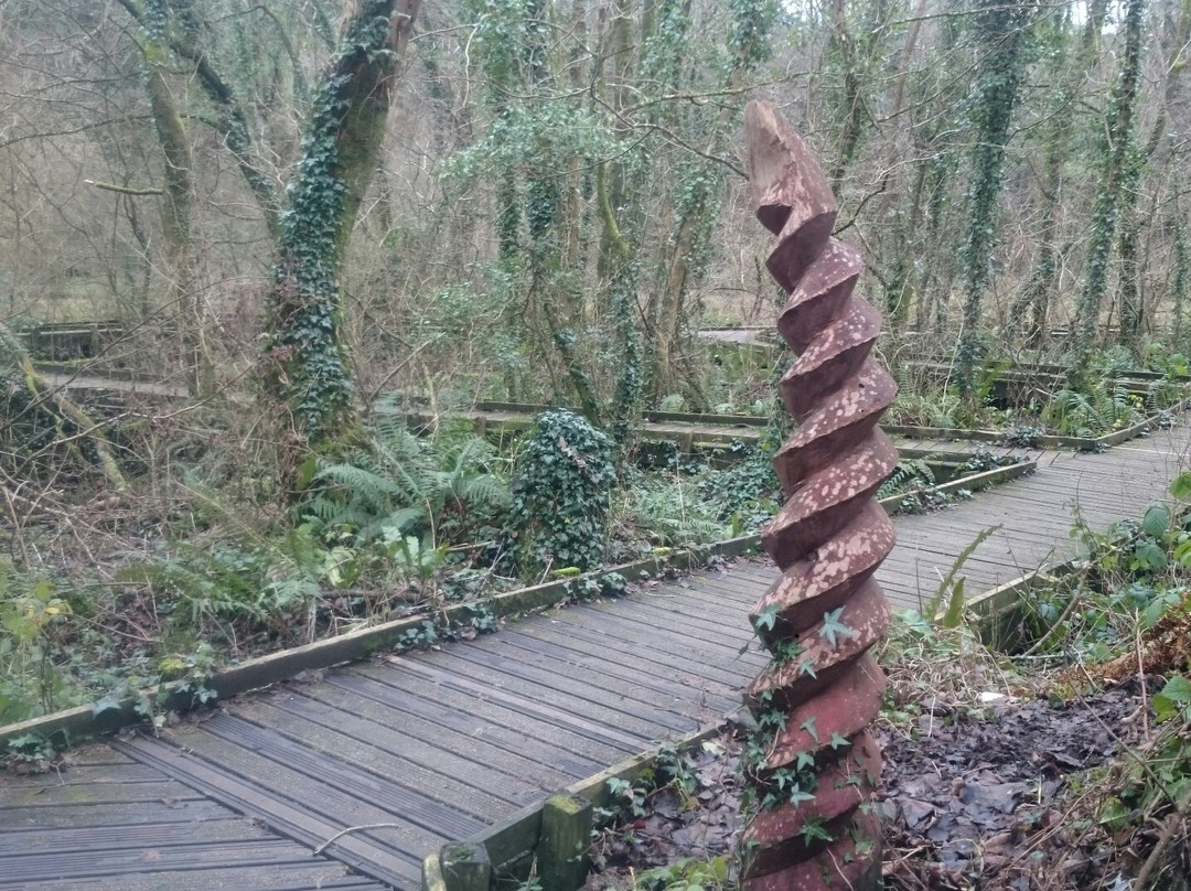 The Dingle (Nant y Pandy) Nature Reserve景点图片