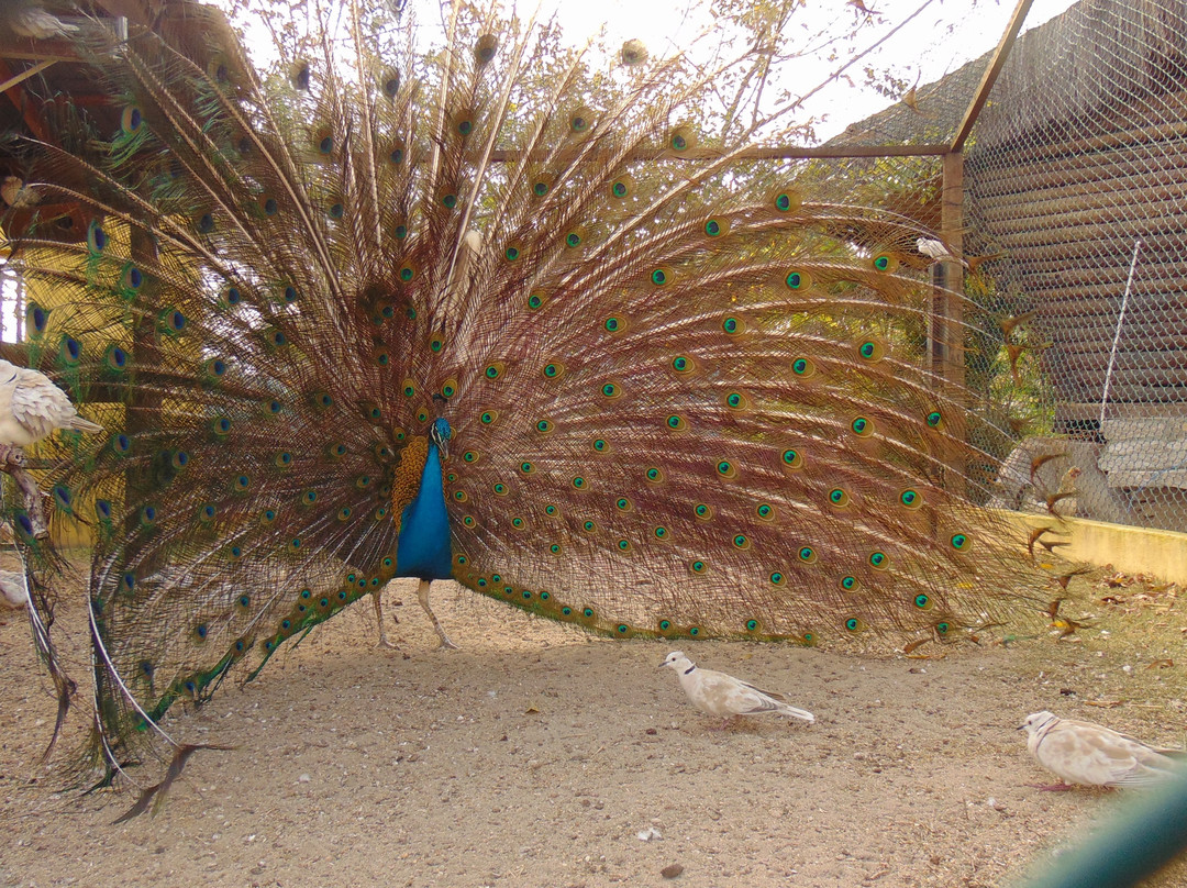 Pousada Pedra Grande主图