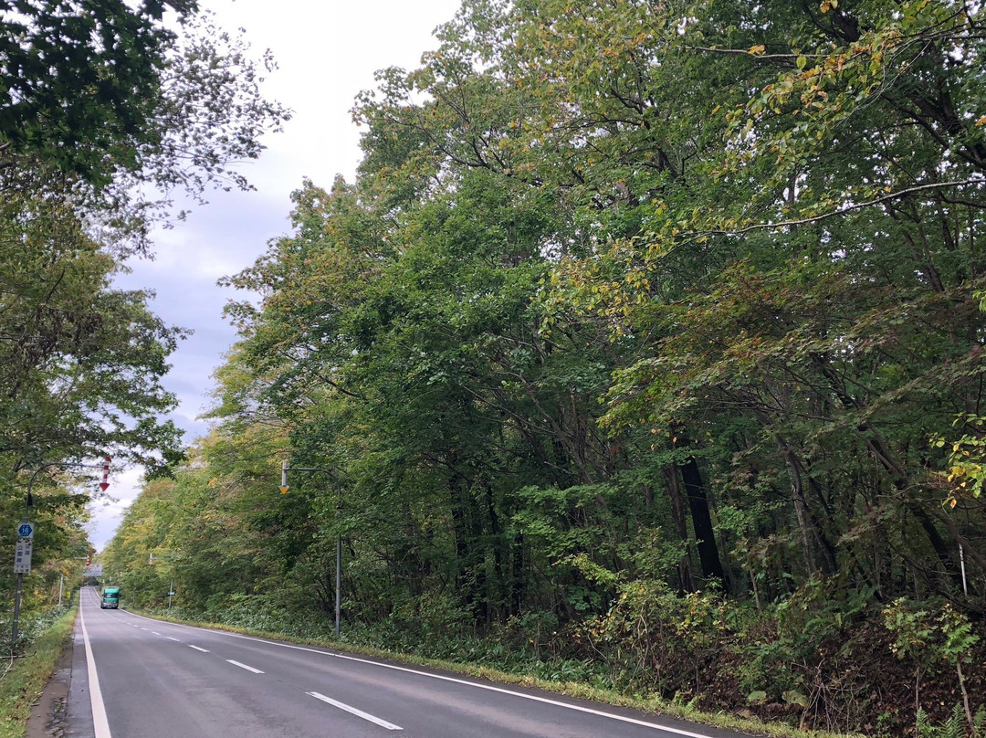 Shikotsu Lake Sky Road-千岁市必去景点