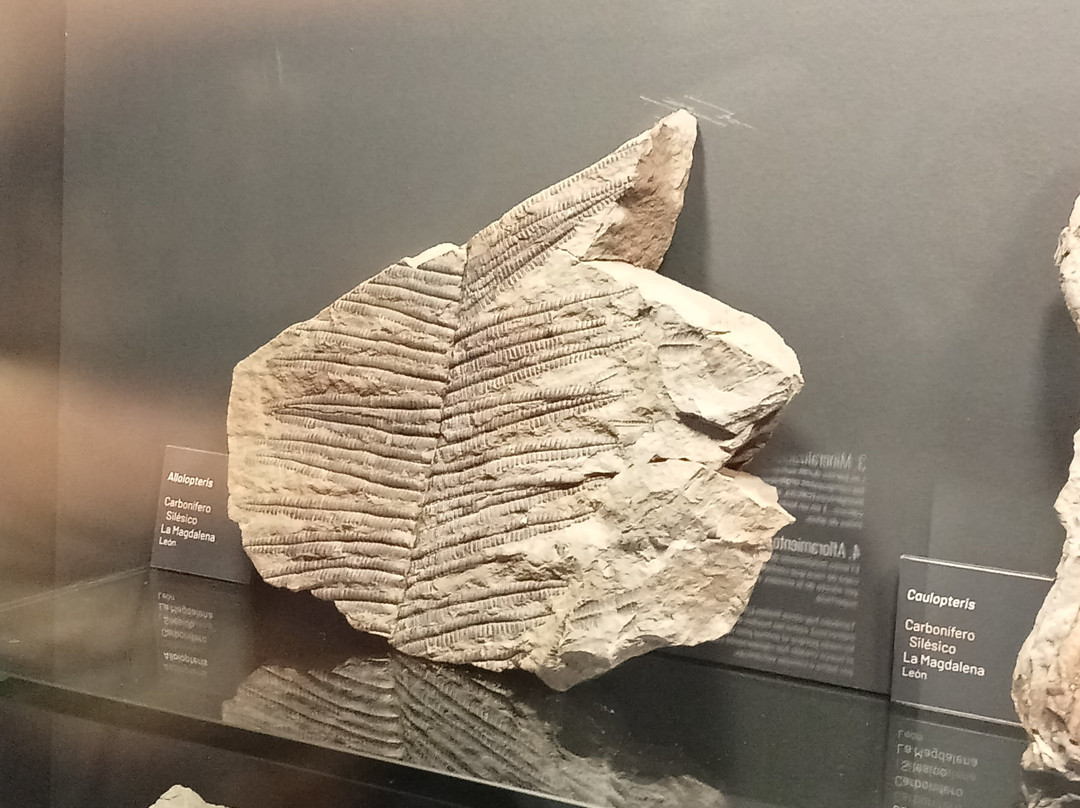 Fossilium Villamuriel-Villamuriel de Cerrato必去景点
