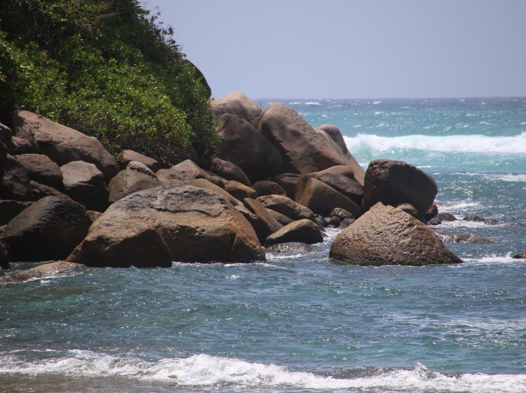 Anse Bois de Rose Beach景点图片
