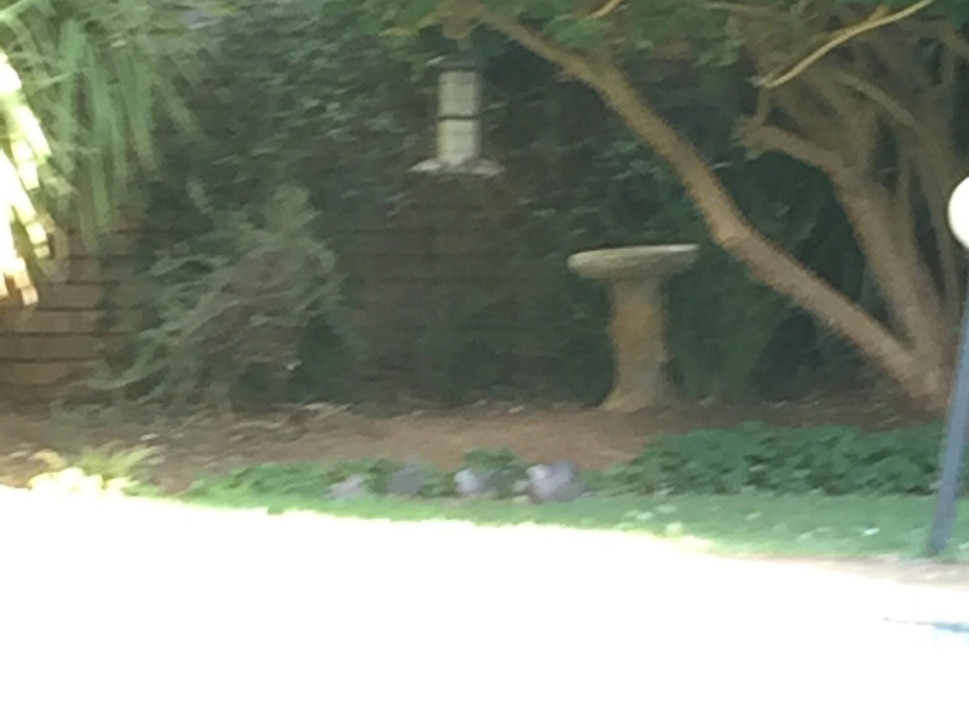 Harmony Place Bed and Breakfast主图