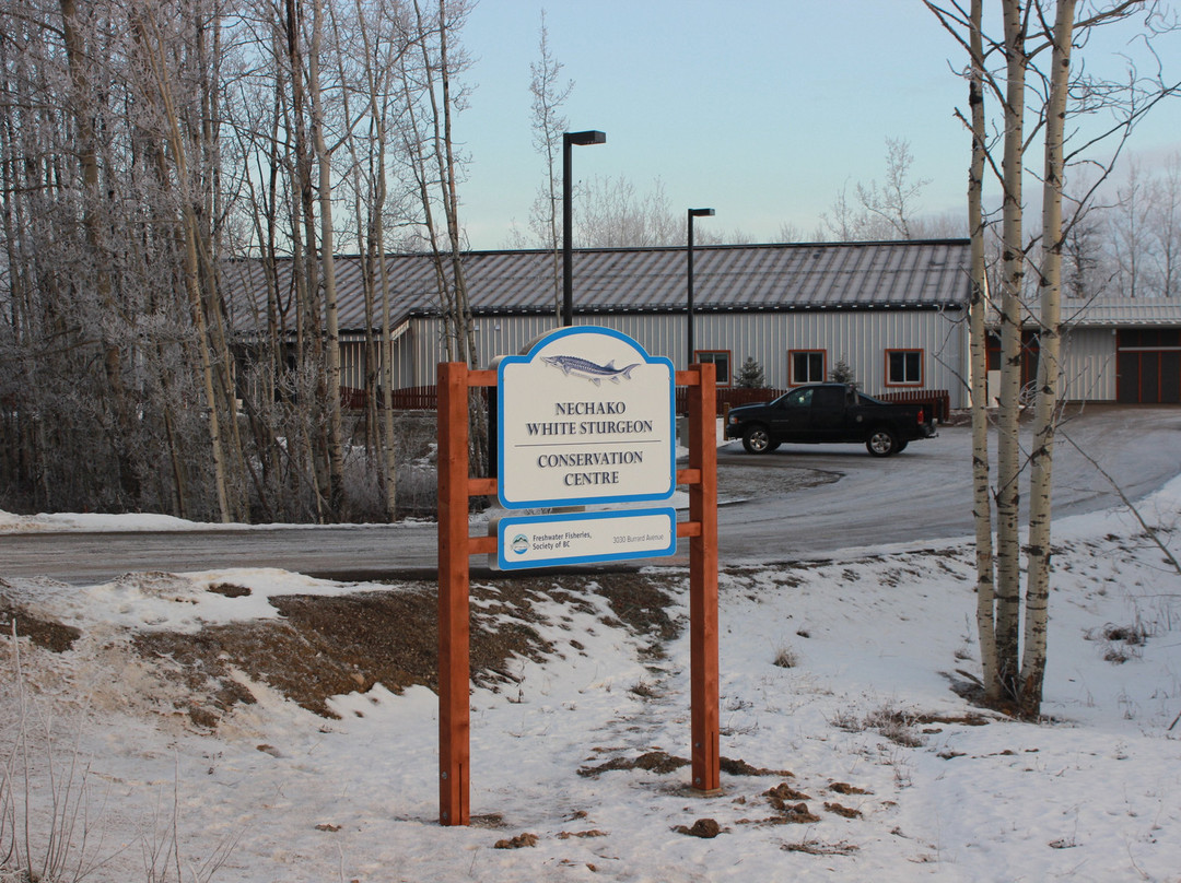Nechako White Sturgeon Conservation Centre景点图片