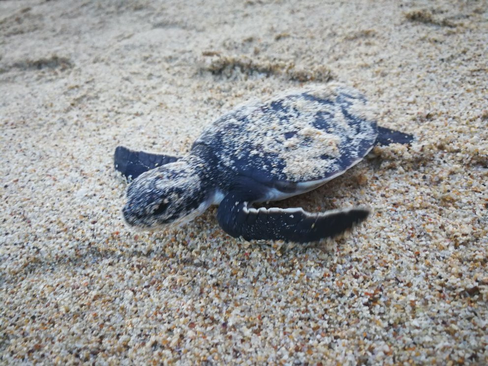 GEM Divers-马江必去景点