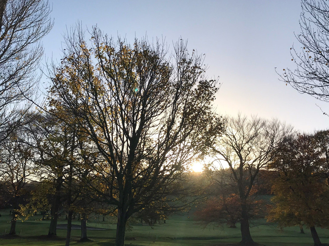 Shandon Park Golf Club-贝尔法斯特必去景点