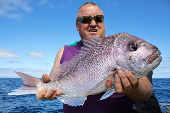 Port Bouvard Charters-曼杜拉必去景点