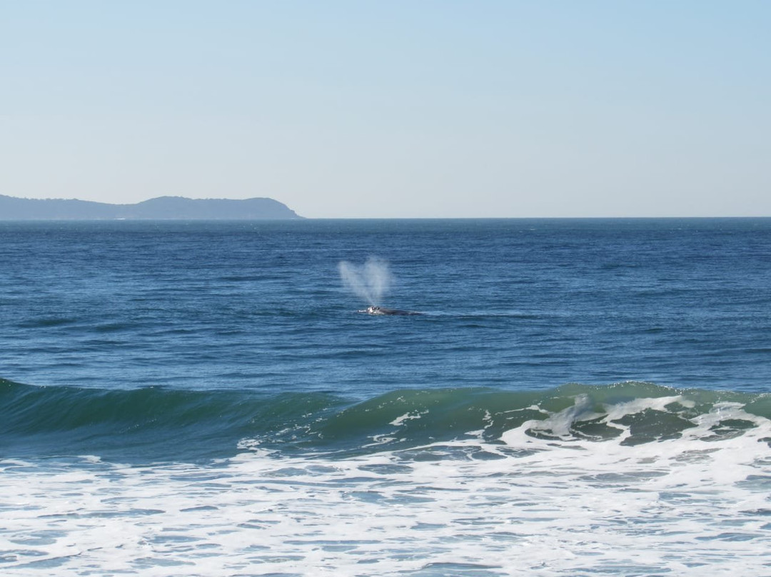 Ao Sul Natural-Imbituba必去景点