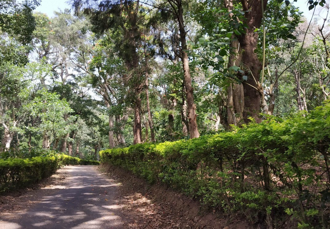 Seethargundu Viewpoint-Palakkad必去景点