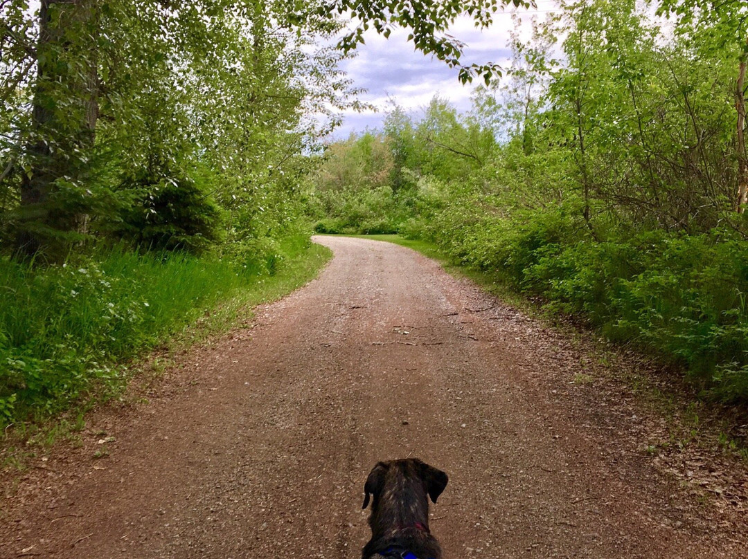 Peace Island Park-Taylor必去景点