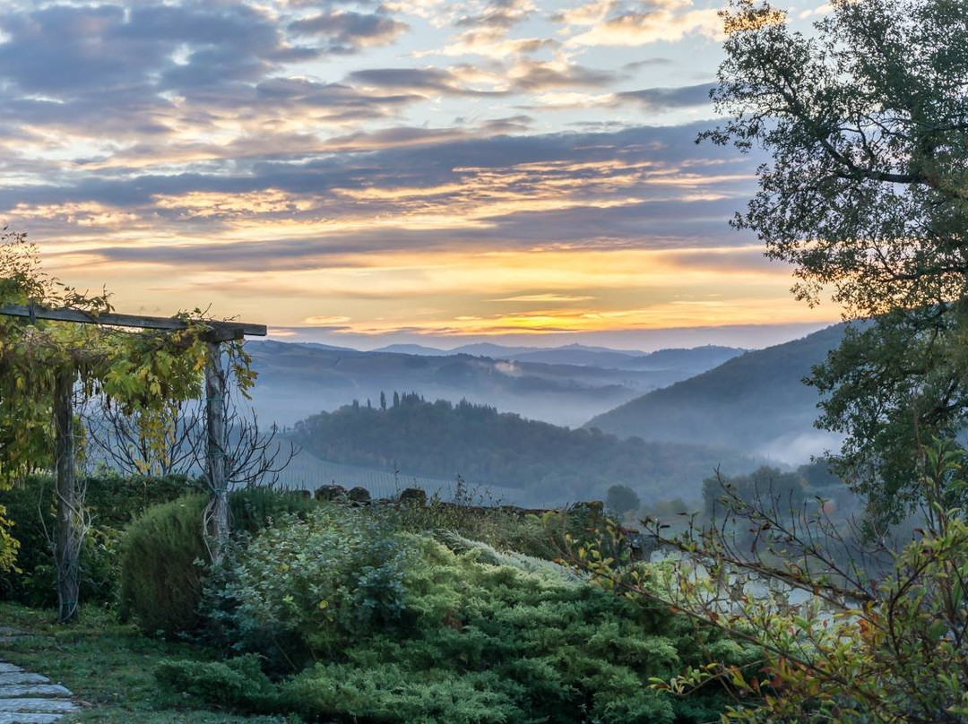 Masseto in Chianti - Food Experiences-卡斯特利纳－因基安蒂必去景点