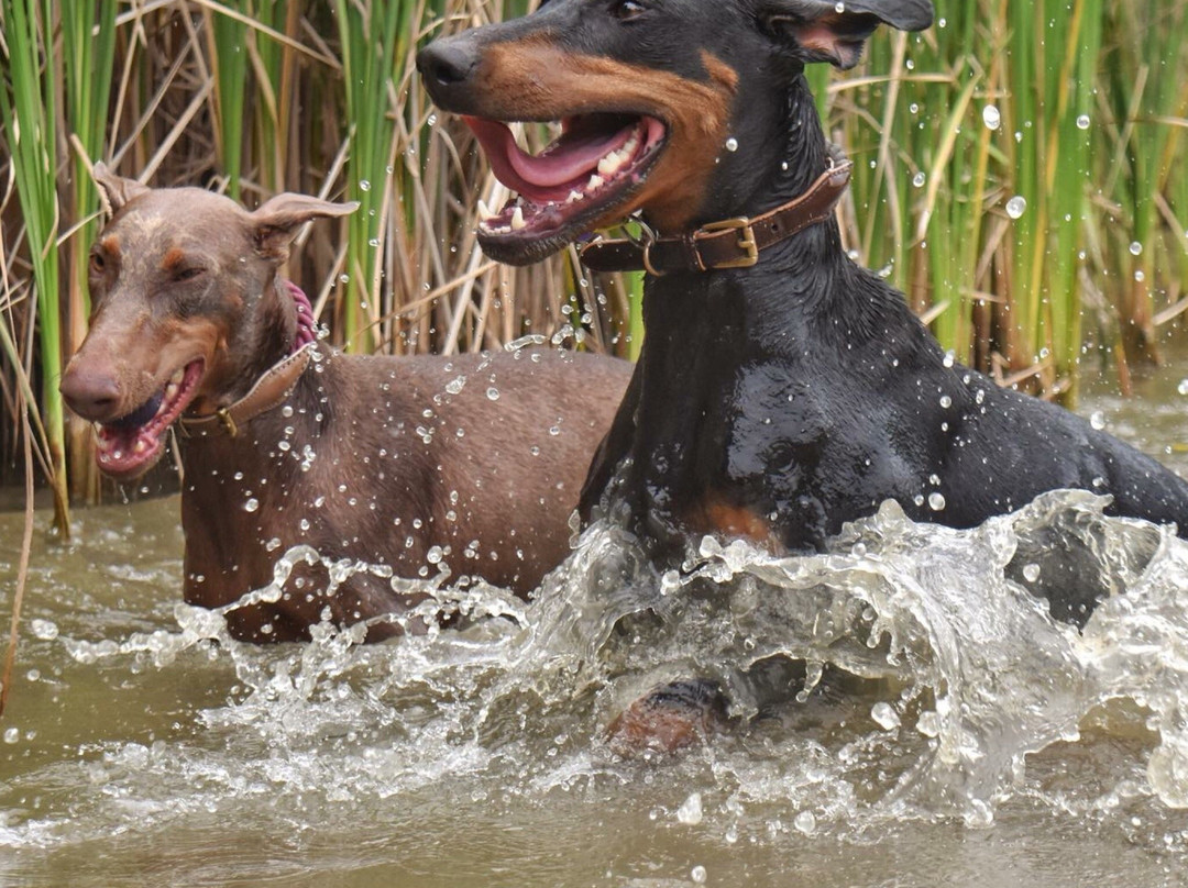 Three Creeks Metropark-Groveport必去景点