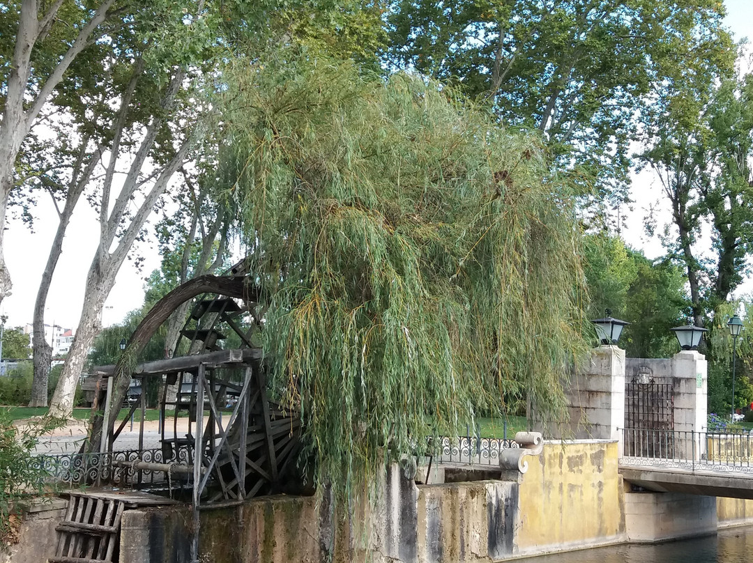 Rio Nabão景点图片