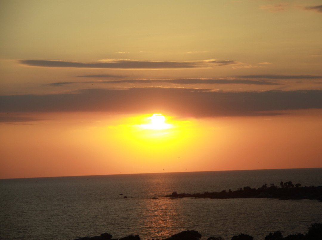 wLake Victoria-Mbita必去景点