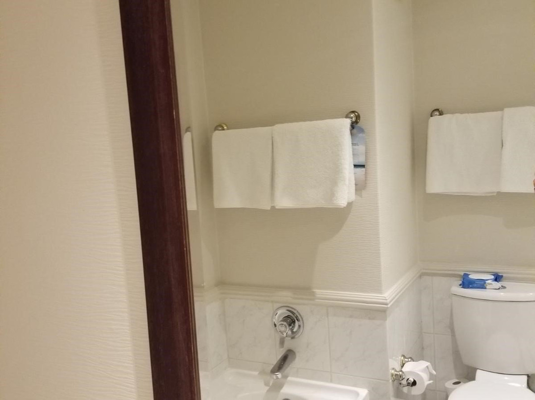 花苑晨桑顿酒店主图