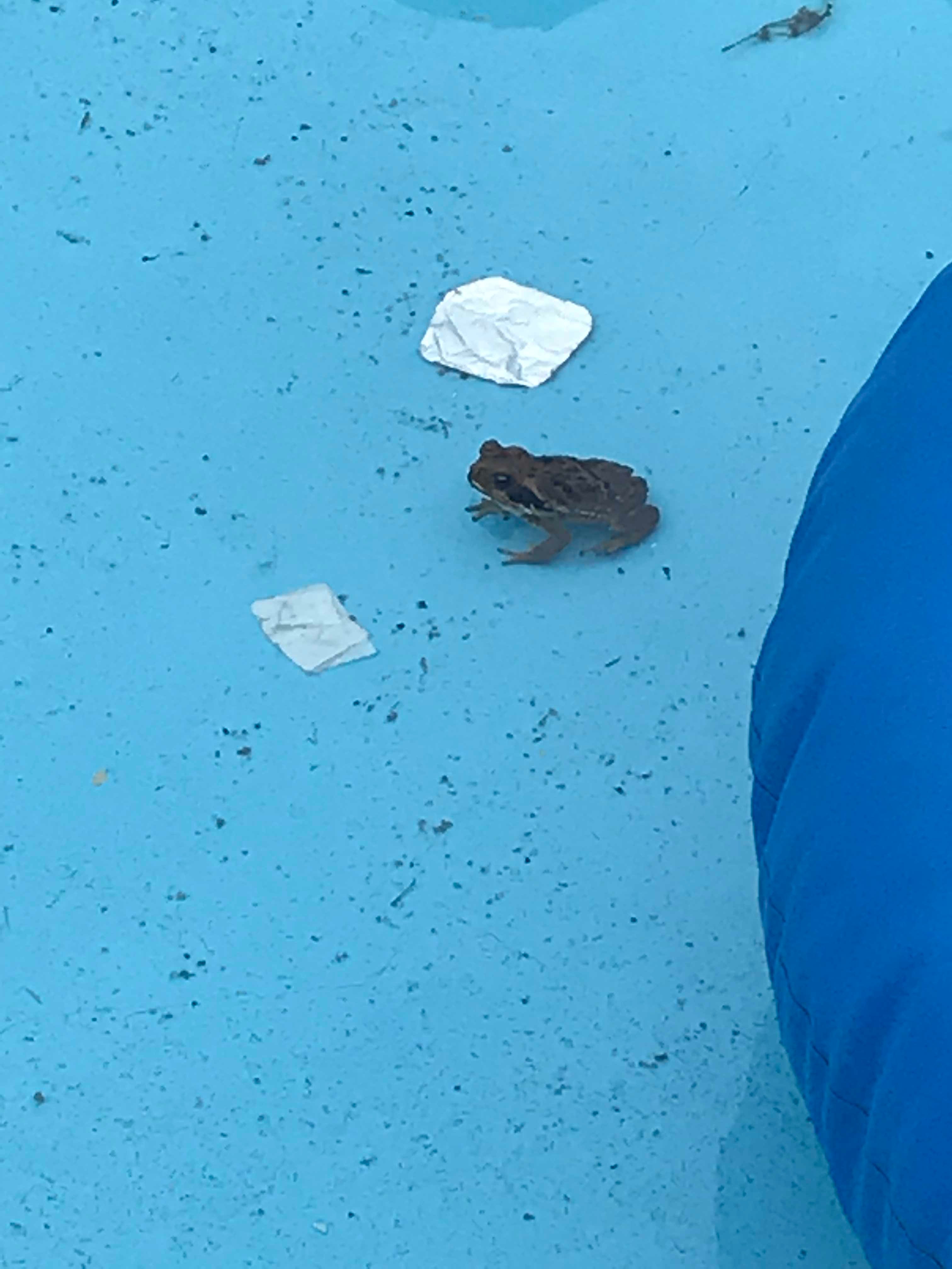 Itaipuland Resort-泳池