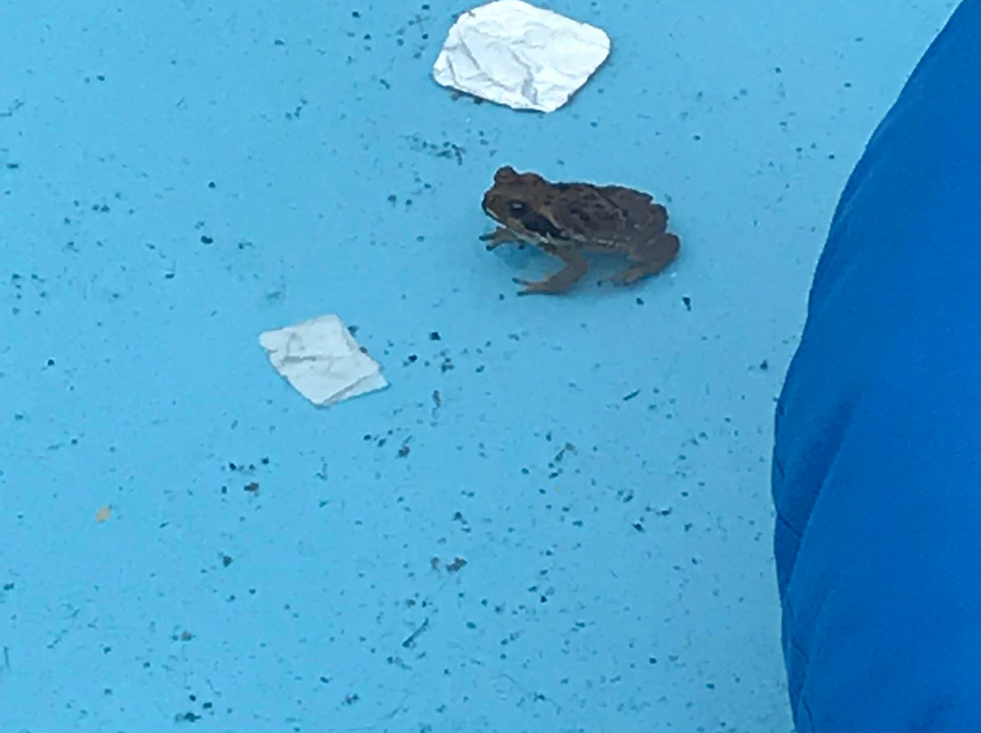 Itaipuland Resort主图