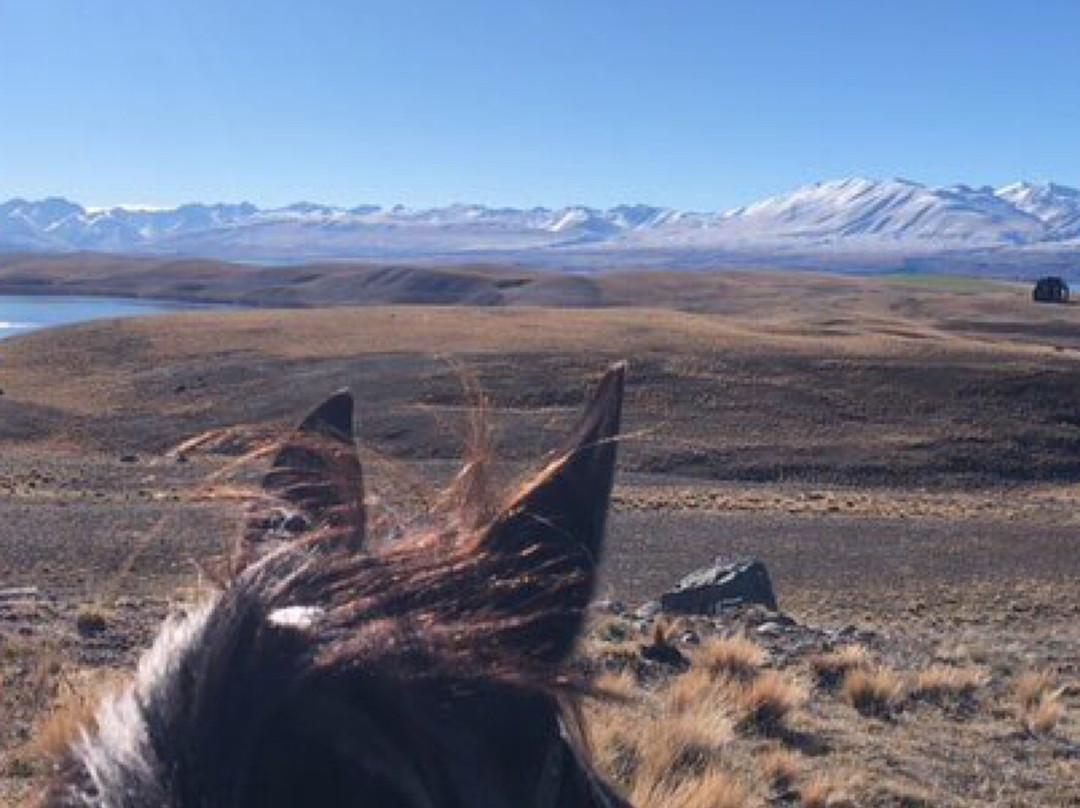 麦肯西高山骑马之旅－一日游景点图片