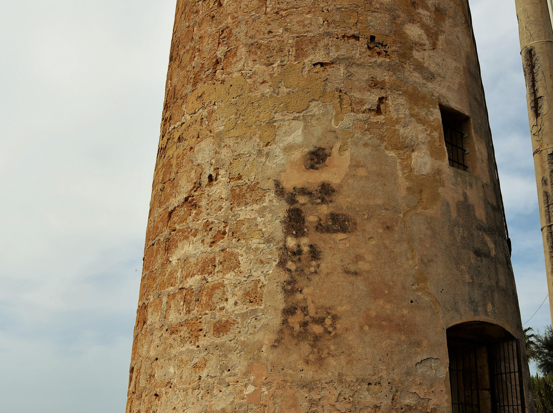 Torre Sorello