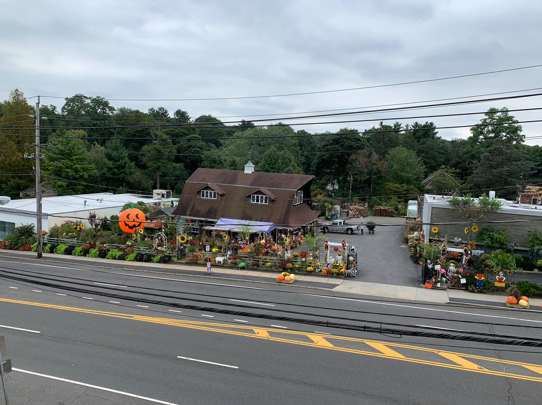 Best Western Roslyn-Long Island Hotel主图