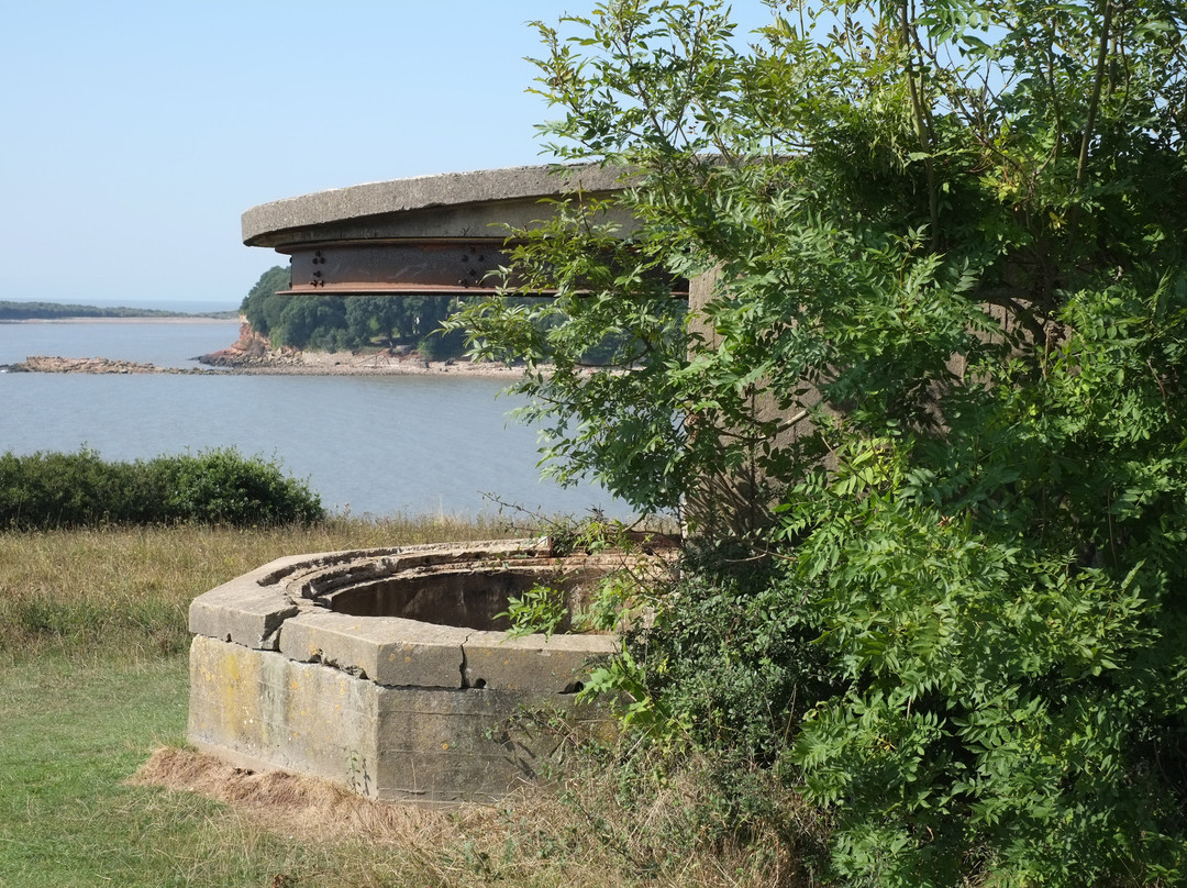 Lavernock Point - Penarth nature reserve景点图片