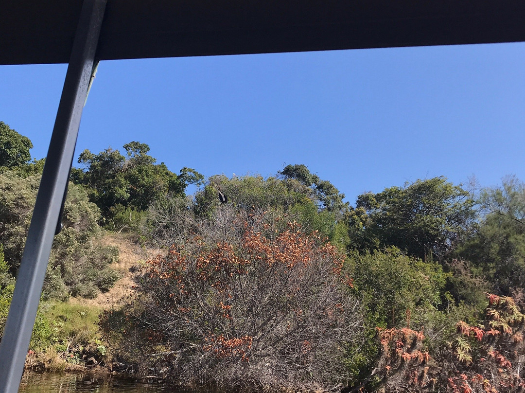 Wilderness River Safaris-荒野必去景点