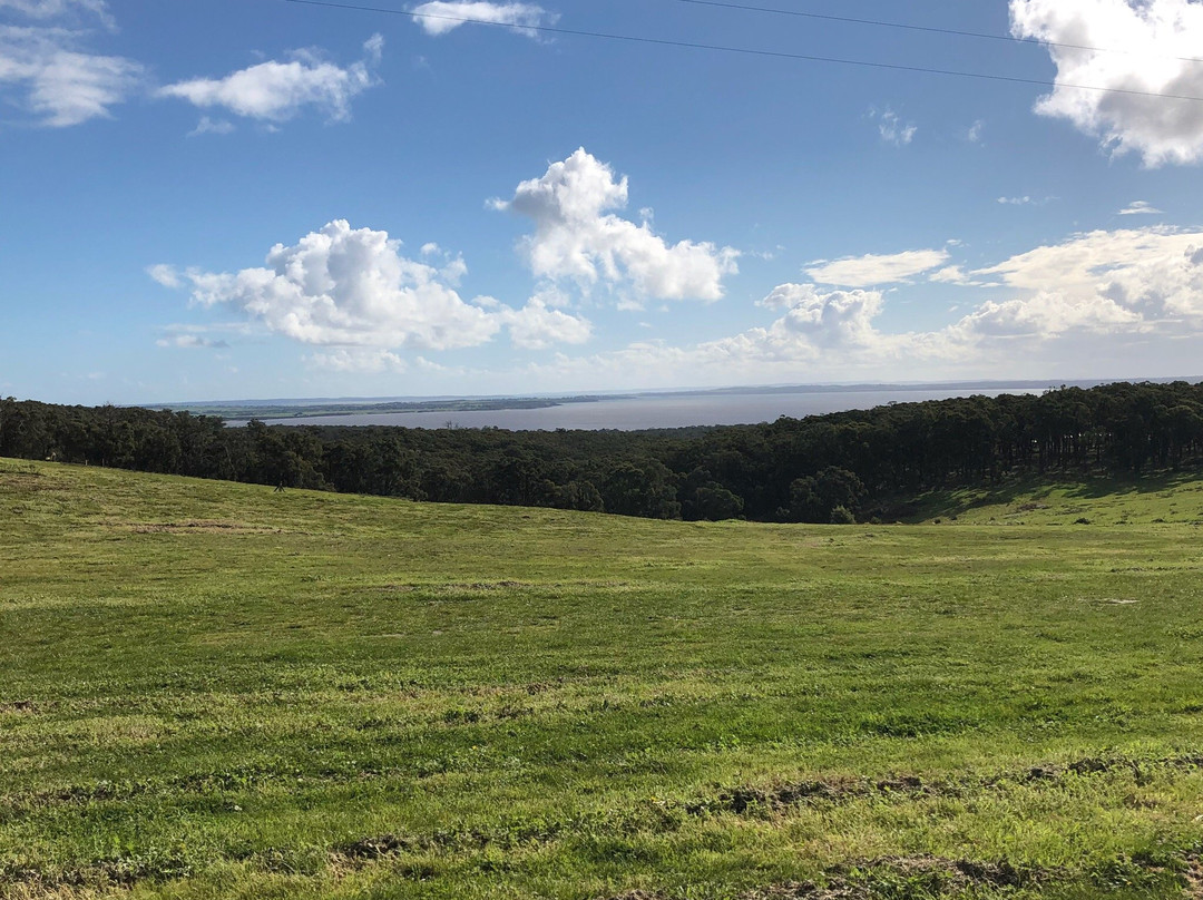 The Gurdies Nature Reserve-The Gurdies必去景点