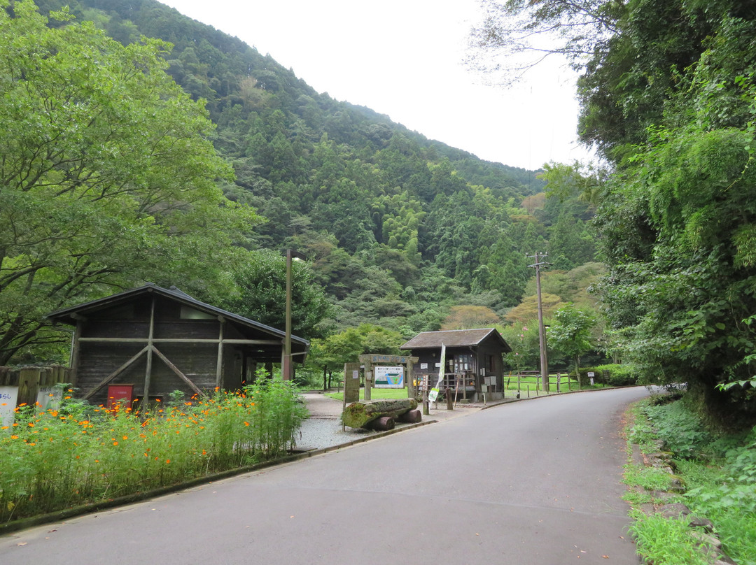 Shimizu Forest Park Yasuragino Mori-静冈市必去景点