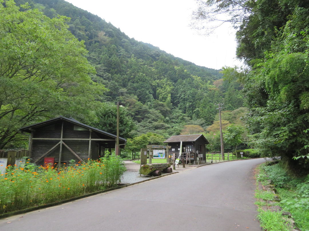 Shimizu Forest Park Yasuragino Mori景点图片