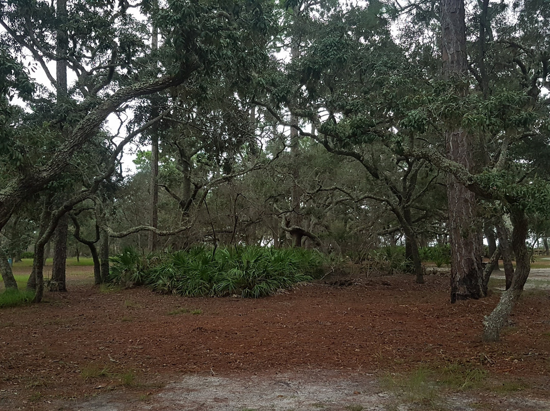 Ochlockonee River State Park-Sopchoppy必去景点