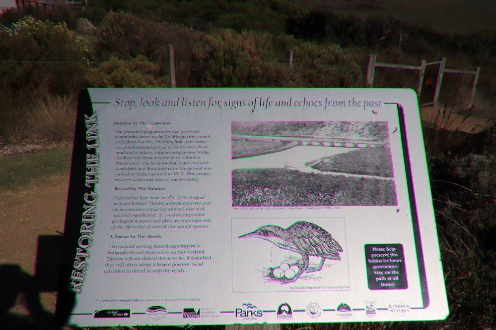Princetown Wetlands Boardwalk景点图片
