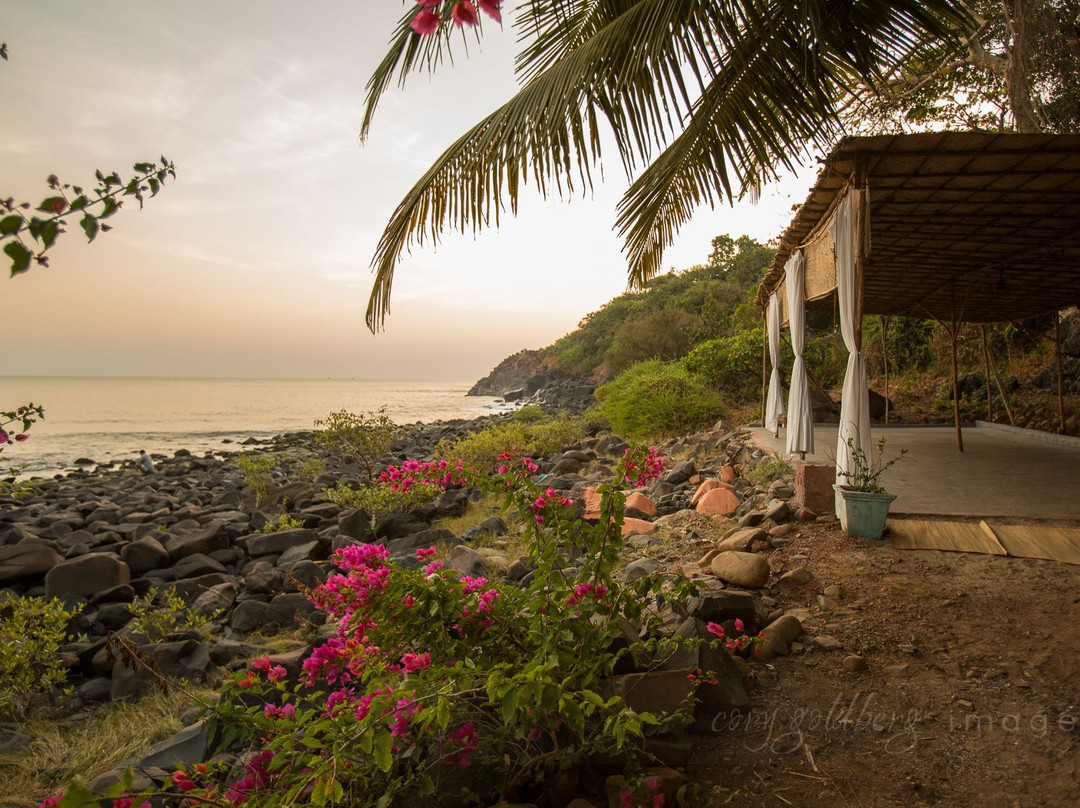 Kala Bahia