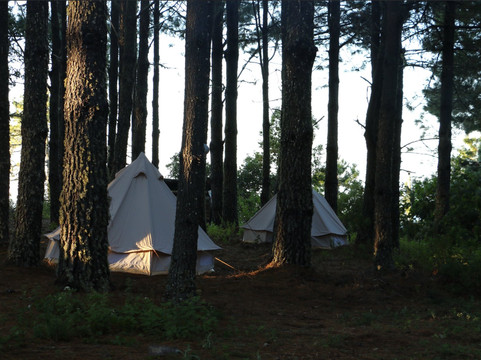 Chance To Challenge-墨西哥城必去景点