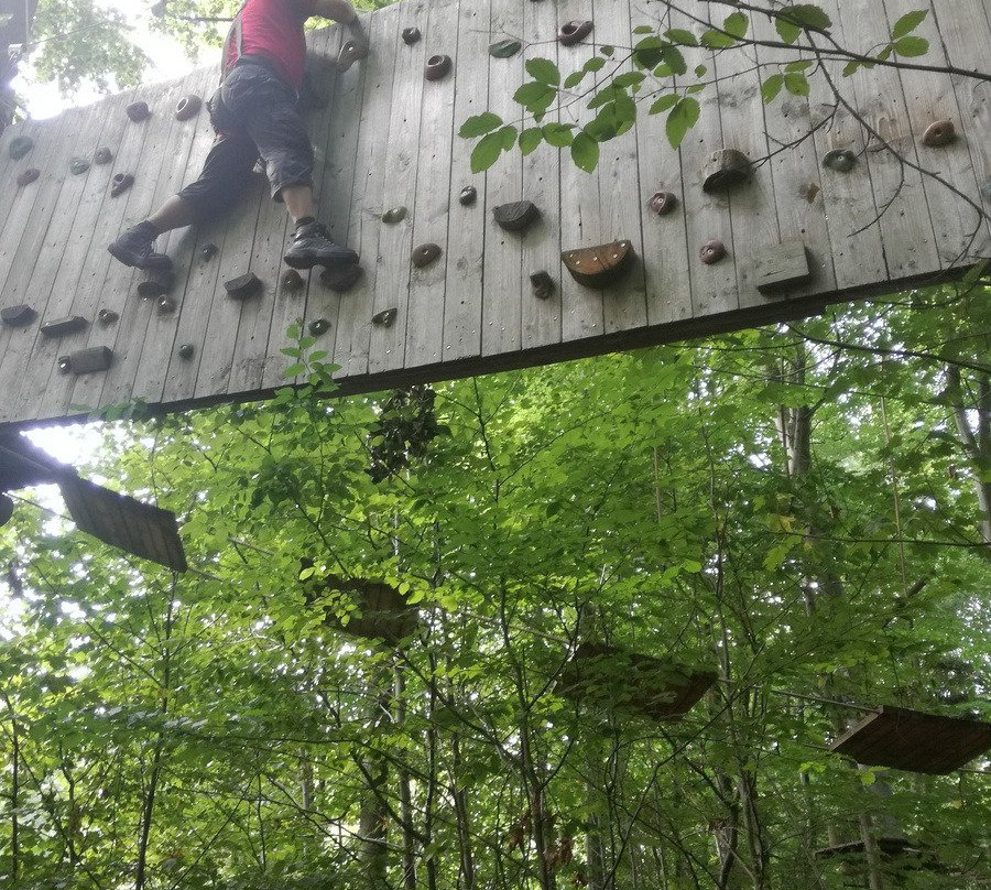 Kletterwald Hamburg-汉堡必去景点
