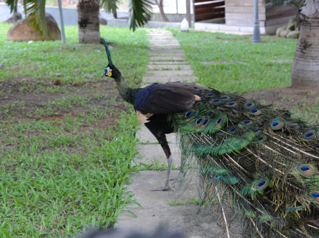 KLB Garden-西连必去景点