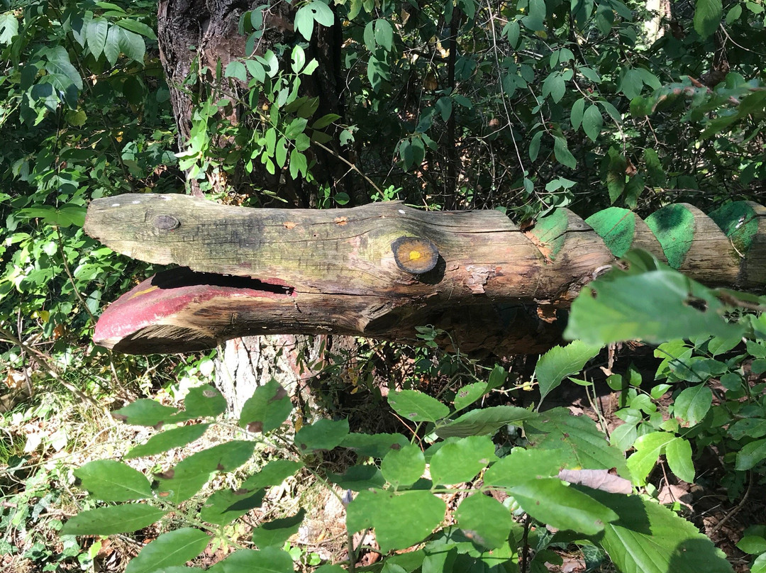 Percorso Natura景点图片