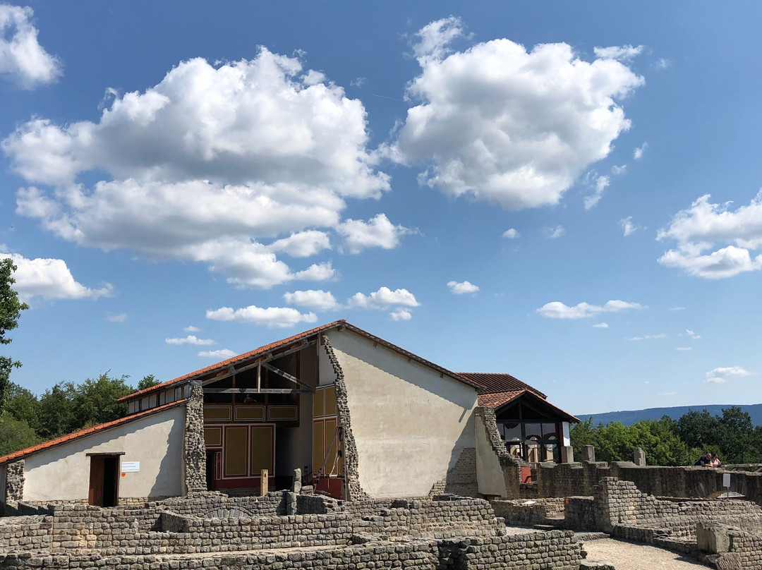 Roman Open Air Museum景点图片