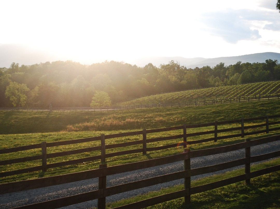 Knight's Gambit Vineyard-夏洛茨维尔必去景点